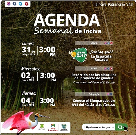 noticias-destacadas/agenda-semanal-de-inciva